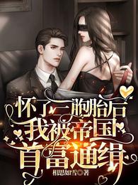 怀了三胞胎后我被帝国首富通缉