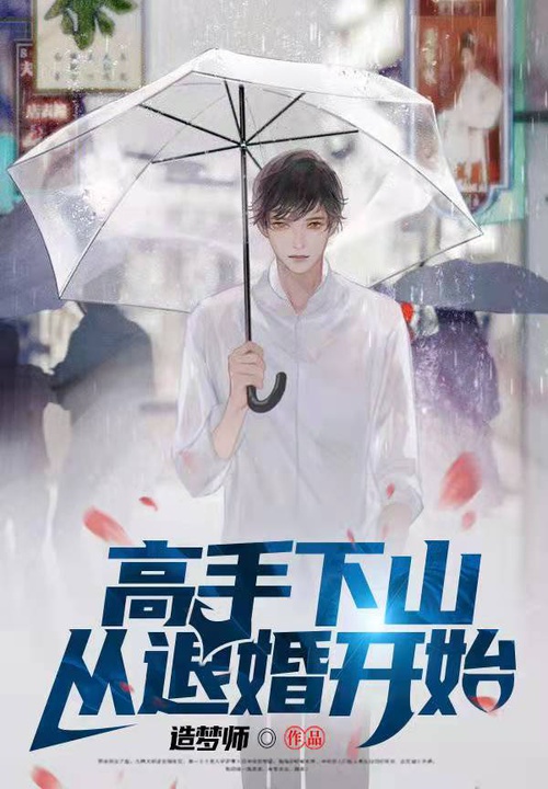 高手下山从退婚开始云轩笔趣阁免费阅读